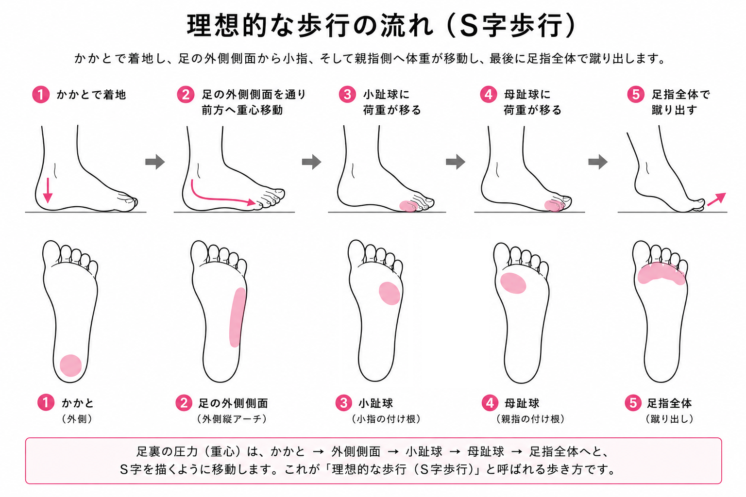 理想的な歩行とは