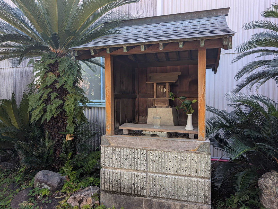 またカエッてきてね！夏期限定の仲間の話。　シリーズ「mizutori」とは... 【第七十一話】