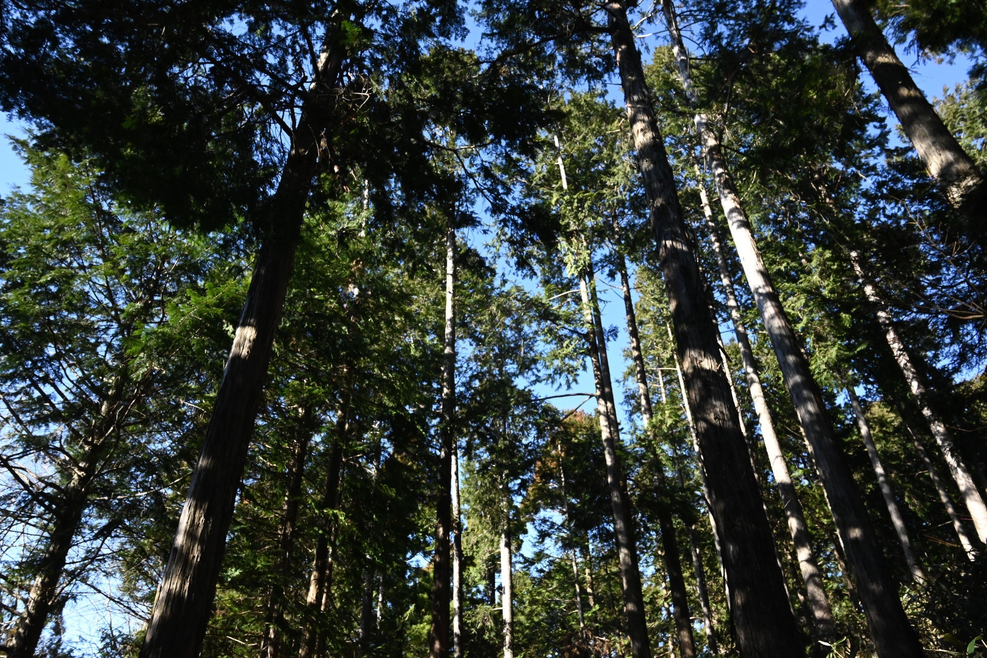 シリーズ「mizutori」とは... 【第二十五話】